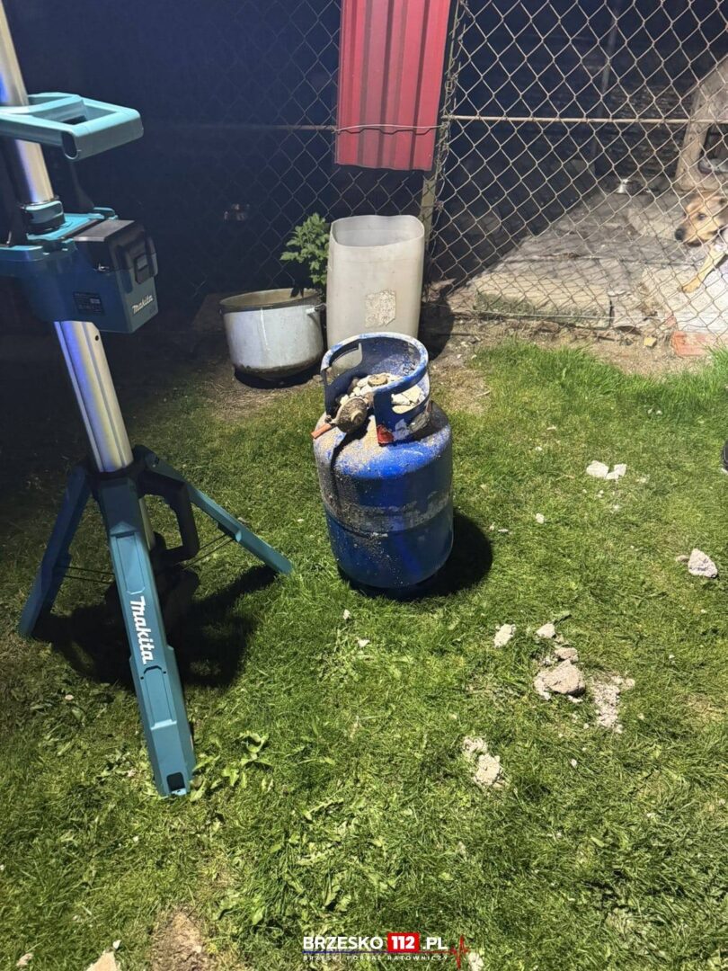 Blue propane gas cylinder on a grassy yard next to a blue Makita work stand; a chain-link fence and a dog visible in the background.