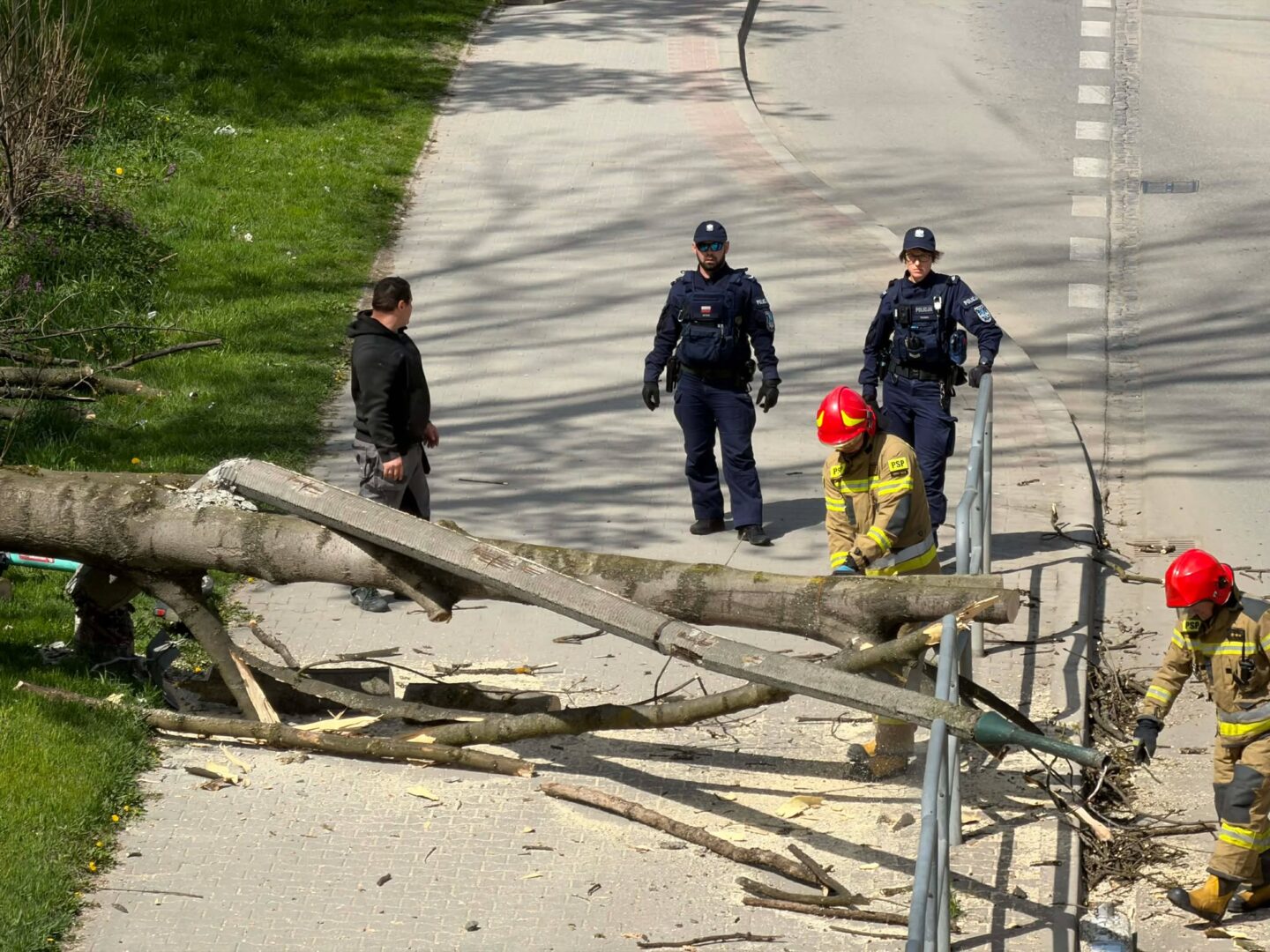 Fallen tree blocking a sidewalk; two firefighters in red helmets and two police officers stand nearby on a sunny day, debris scattered around a railing.