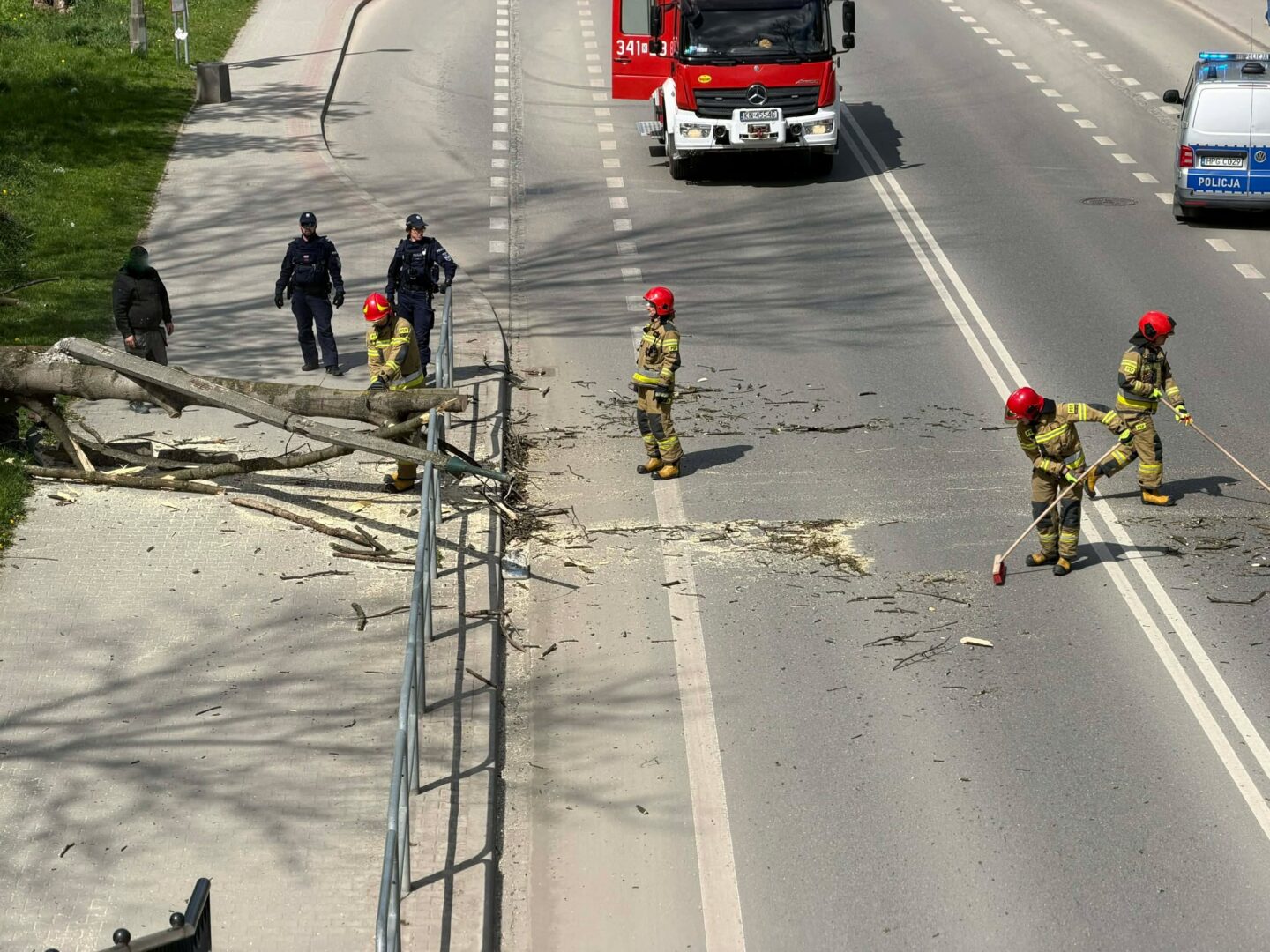 Firefighters in red helmets and police on a road with debris and a fallen tree, tidying up after an accident near a barrier.