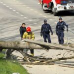 Firefighter in yellow gear and red helmet removing a fallen tree blocking a sidewalk while two police officers stand nearby; truck in background.