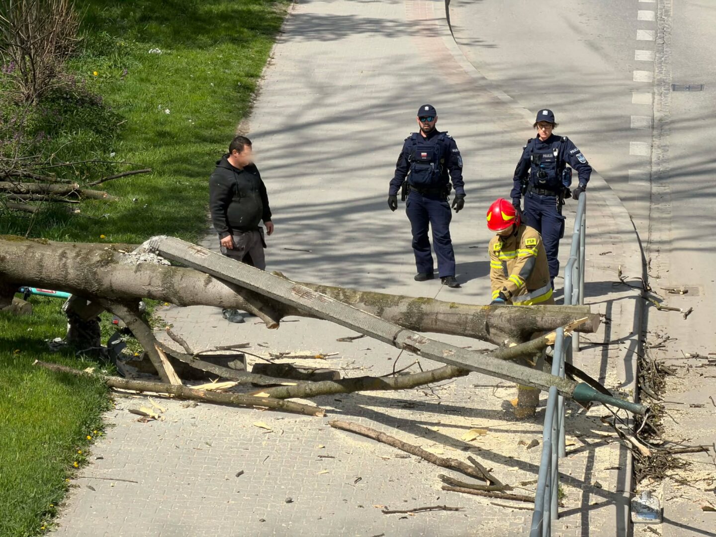 Fallen tree branch blocks a sidewalk near a guardrail; two police officers and a firefighter assess the scene.