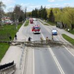 Emergency responders and police block a road after a large tree fell across the lanes, with fire trucks in the distance.