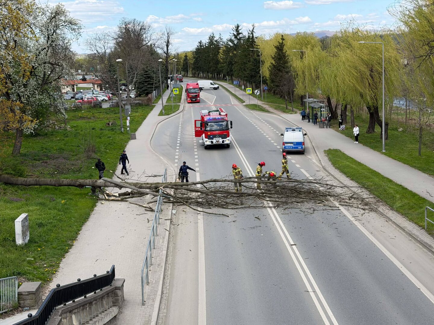 Emergency responders and police block a road after a large tree fell across the lanes, with fire trucks in the distance.