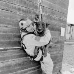 Climber in helmet and harness hugs a dog suspended by rope against a wooden wall surface.
