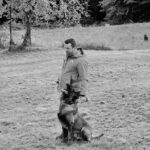 Man in a jacket trains a German Shepherd in an open grassy field; dog sits with its mouth on a training sleeve held by the man.
