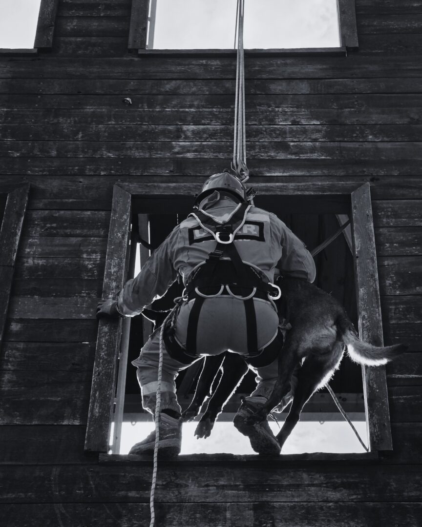 Firefighter in turnout gear climbs through a broken window of a weathered wooden building, rope trailing beside him, with a dog following nearby.
