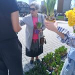 Older woman in pink shirt and gray cardigan, wearing sunglasses, holds a small purple pot with green shoots at an outdoor plant market. People and potted bulbs are around her.