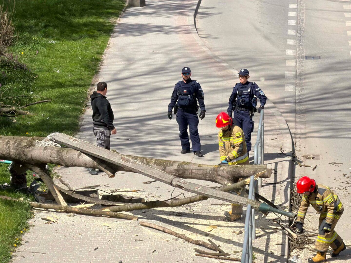 Emergency responders, including firefighters and police, clear a fallen tree blocking a sidewalk by a railing. A man watches from the path.