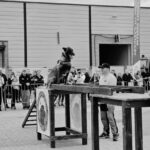 Medium-sized dog wearing a harness sits on a wooden obstacle podium during a public event, with spectators behind barricades and a man watching nearby