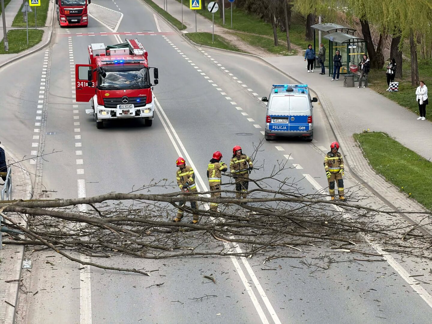 Firefighters remove a large fallen tree from a two-lane road; a fire engine and a police van are on scene, with bystanders watching.