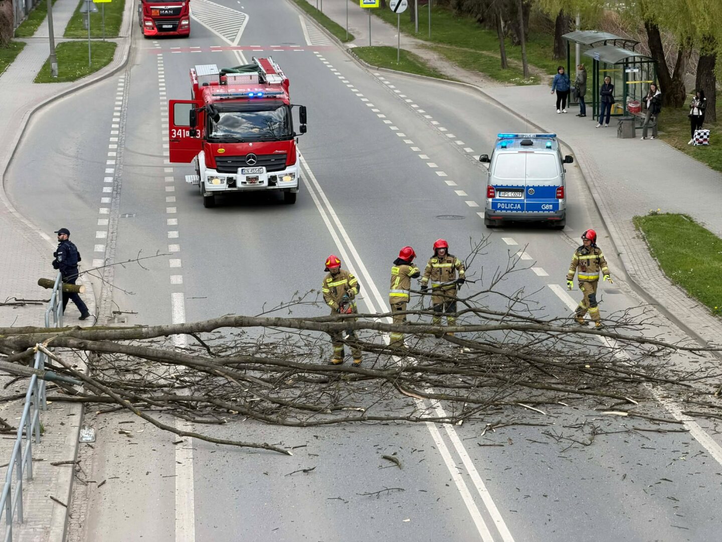 Emergency responders as a fallen tree blocks a city street; a fire engine and a police van with flashing lights are on scene, bystanders nearby.
