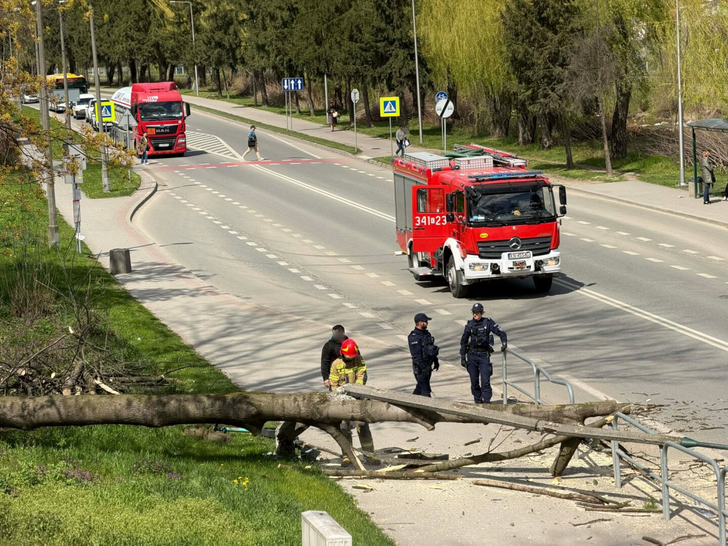 Fallen tree blocks a sidewalk as firefighters and police manage the scene near a red fire truck on a city street, pedestrians in the background.