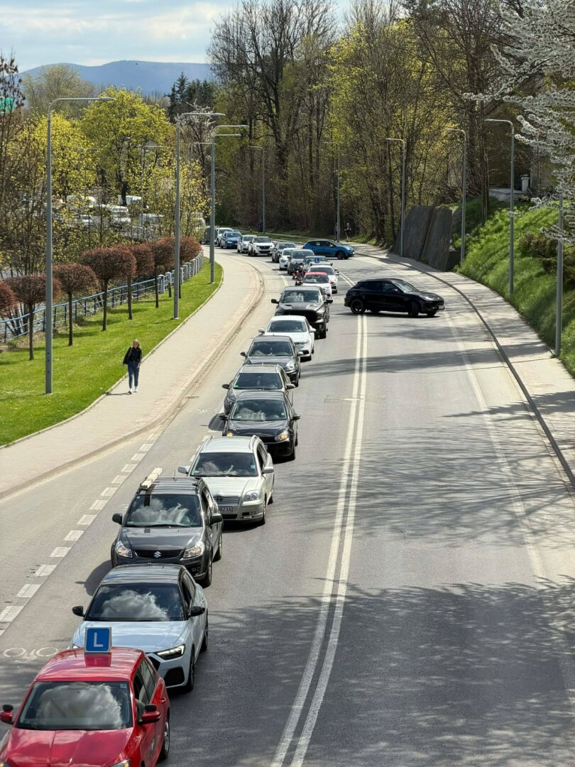 Line of cars in a queue on a curved road, led by a red learner car with an L plate; a pedestrian walks on the sidewalk beside a park.