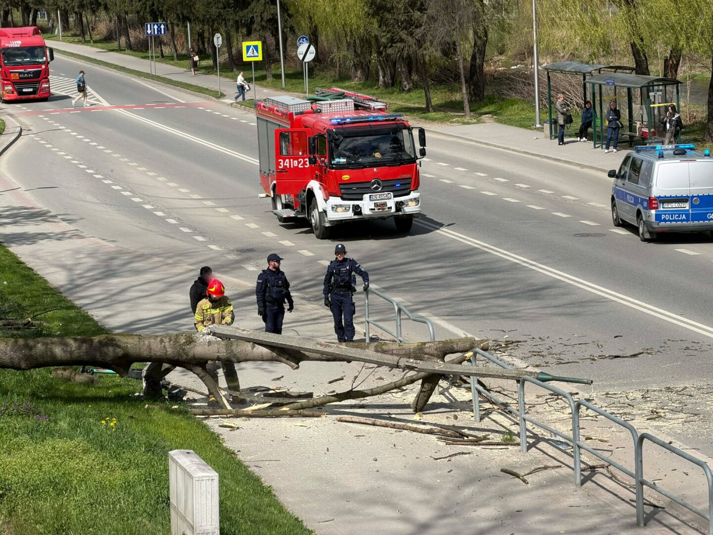Emergency responders clear a fallen tree blocking a sidewalk on a city street; fire truck, police, and bystanders nearby.
