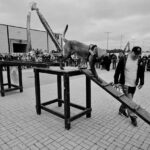 Dog wearing a harness descends a wooden ramp during an obstacle-course demo, with a handler nearby and a crowd behind barriers.