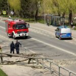 Red fire truck and police van on a city street, with a fallen tree and scattered branches blocking the sidewalk, as firefighters and officers assess the scene.