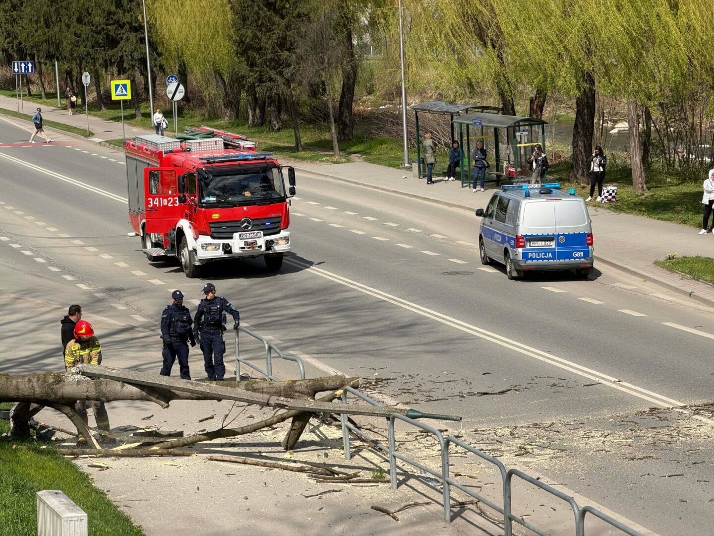 Red fire truck and police van on a city street, with a fallen tree and scattered branches blocking the sidewalk, as firefighters and officers assess the scene.
