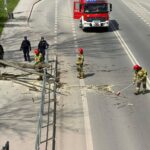 Emergency responders, firefighters in red helmets and police officers, clear branches and debris from a multi-lane road as a red fire truck and police van stand by.