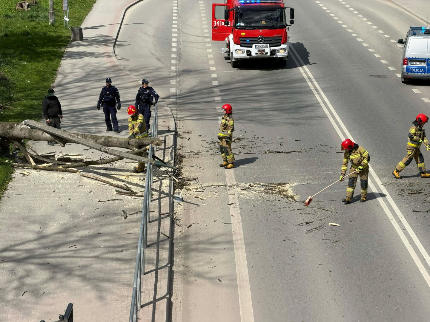 Emergency responders, firefighters in red helmets and police officers, clear branches and debris from a multi-lane road as a red fire truck and police van stand by.