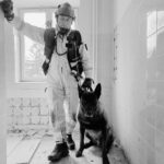 Firefighter in protective gear with a working dog inside a dilapidated tiled room, both looking forward.