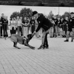 Dog handler extends hand to a kneeling police dog during a public demo, crowd watching behind barriers.