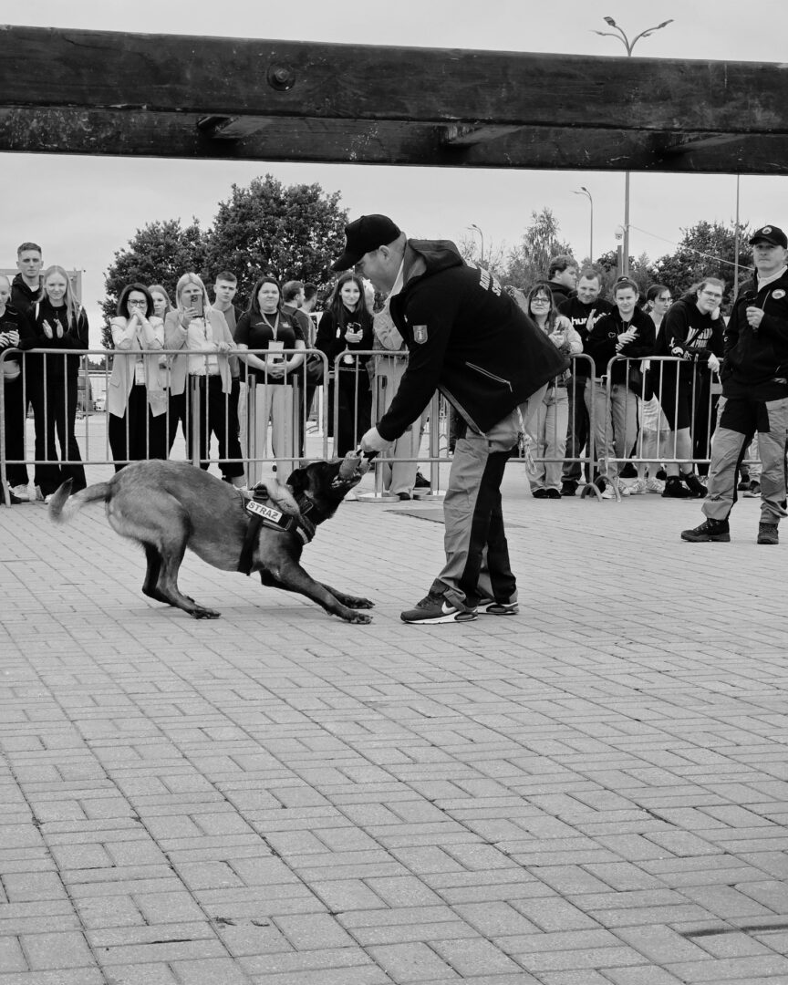 Dog handler extends hand to a kneeling police dog during a public demo, crowd watching behind barriers.