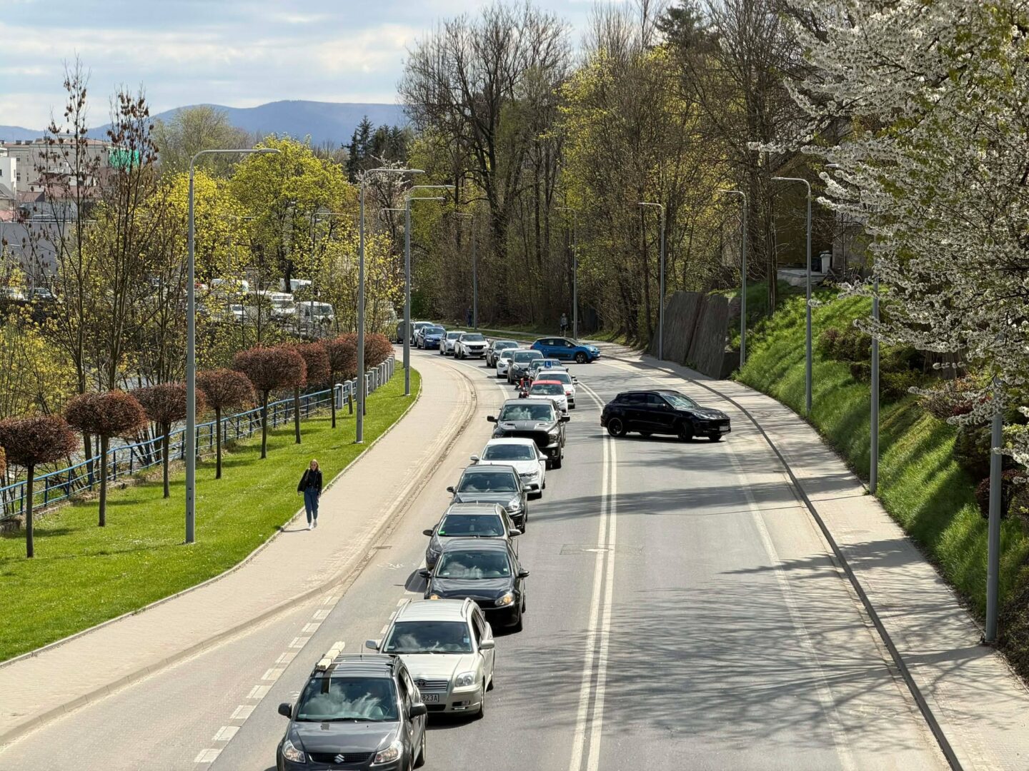 Queue of cars in traffic along a curved, tree-lined street on a sunny spring day; a pedestrian walks the left sidewalk.