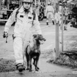Firefighter in protective suit walks a dog through a muddy area at a disaster scene, with fire trucks in the background.