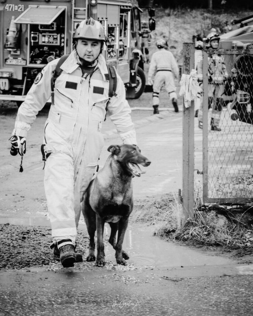 Firefighter in protective suit walks a dog through a muddy area at a disaster scene, with fire trucks in the background.