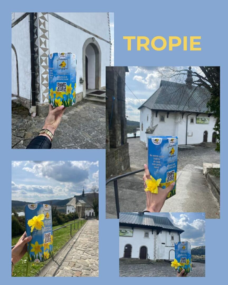 Collage of a blue carton with yellow daffodils held by a hand, shown near white church buildings and cobblestone paths in a village setting.