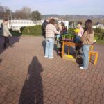 Group of people gathered around a wooden table displaying potted flowers on a sunny brick-paved outdoor area.