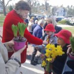 Woman in a red coat hands yellow daffodils to children wearing red hats at an outdoor event.