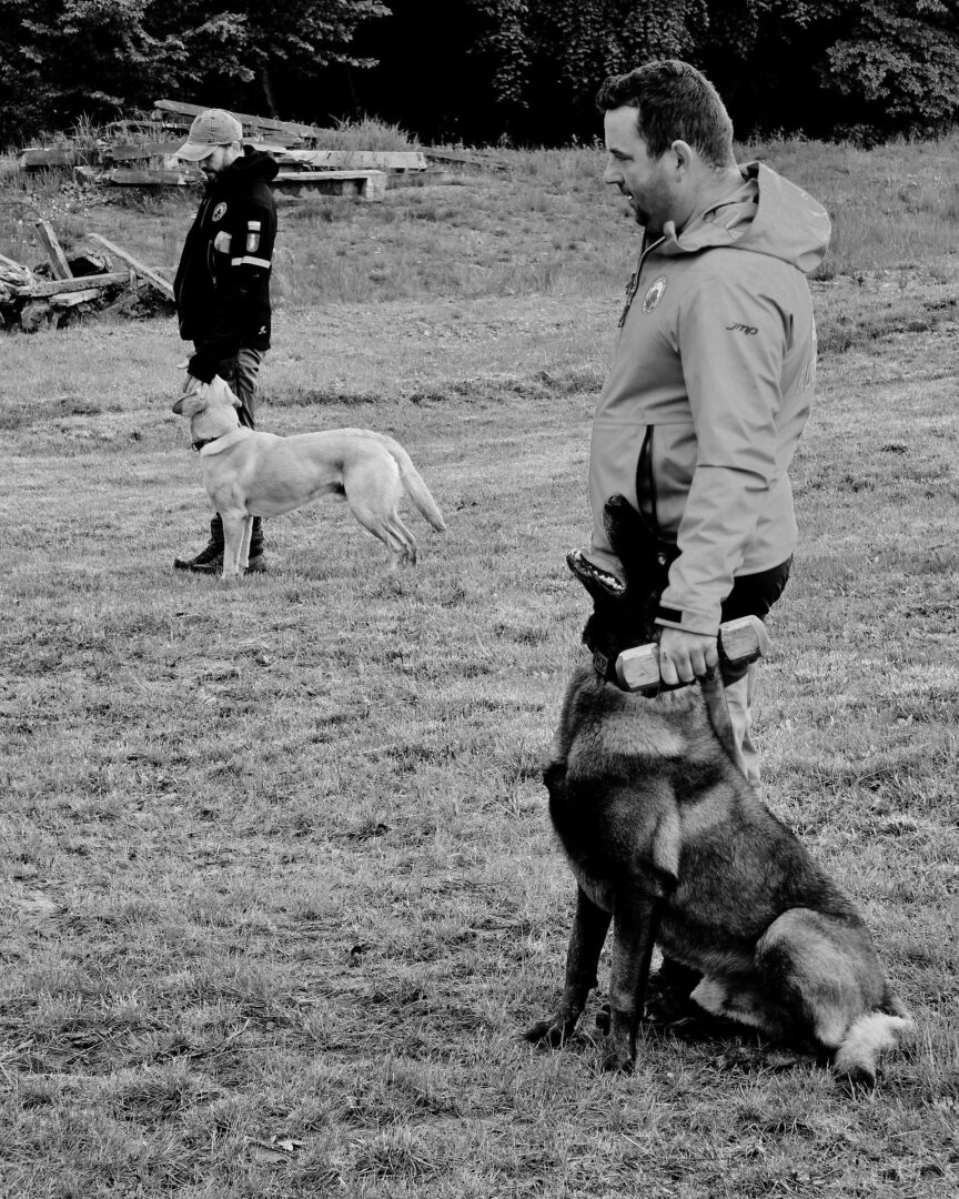 Two men with working dogs in a field: a German shepherd sits by the foreground handler, while another man with a light-colored dog stands in the background.