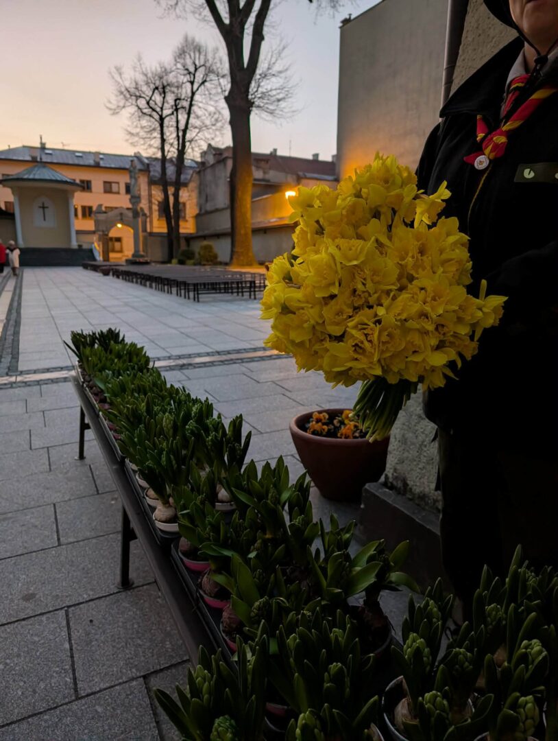Person in dark clothing holds a large yellow bouquet next to a row of potted succulents in a town square at sunset.
