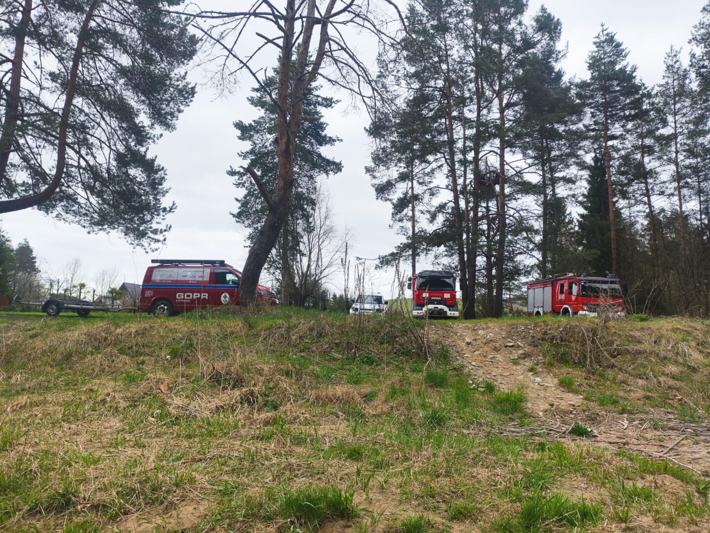 Forest scene with red emergency vehicles (GOPR and fire trucks) parked among tall trees; a rescue worker is elevated in a tree as part of an operation.