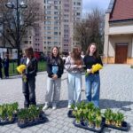 Four young women stand on a paved courtyard holding yellow bouquets, with trays of potted daffodils in front and apartment buildings behind them.