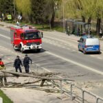 Emergency responders at a scene with a fallen tree branch blocking a sidewalk and road, a red fire truck and a police van present.