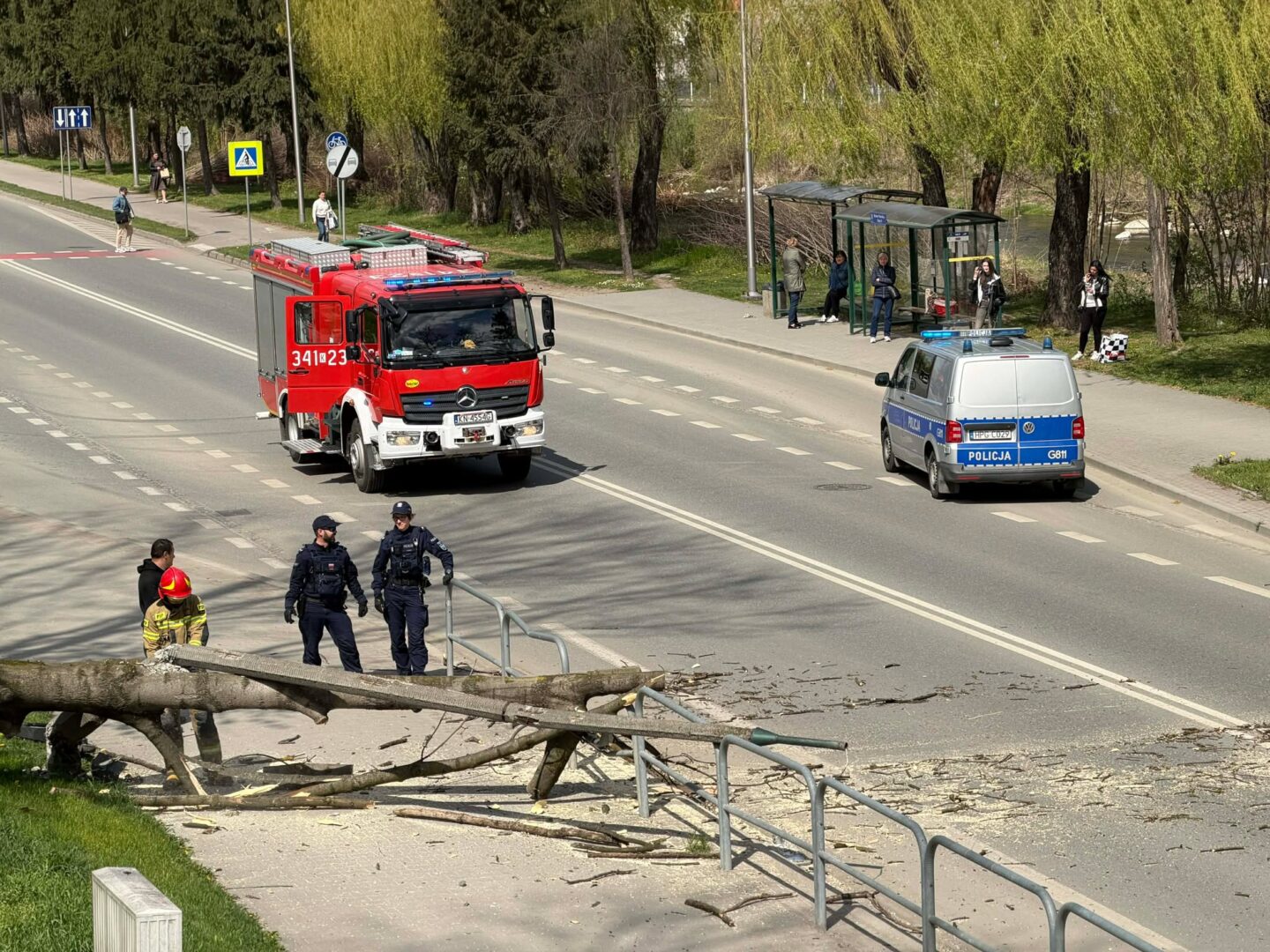 Emergency responders at a scene with a fallen tree branch blocking a sidewalk and road, a red fire truck and a police van present.