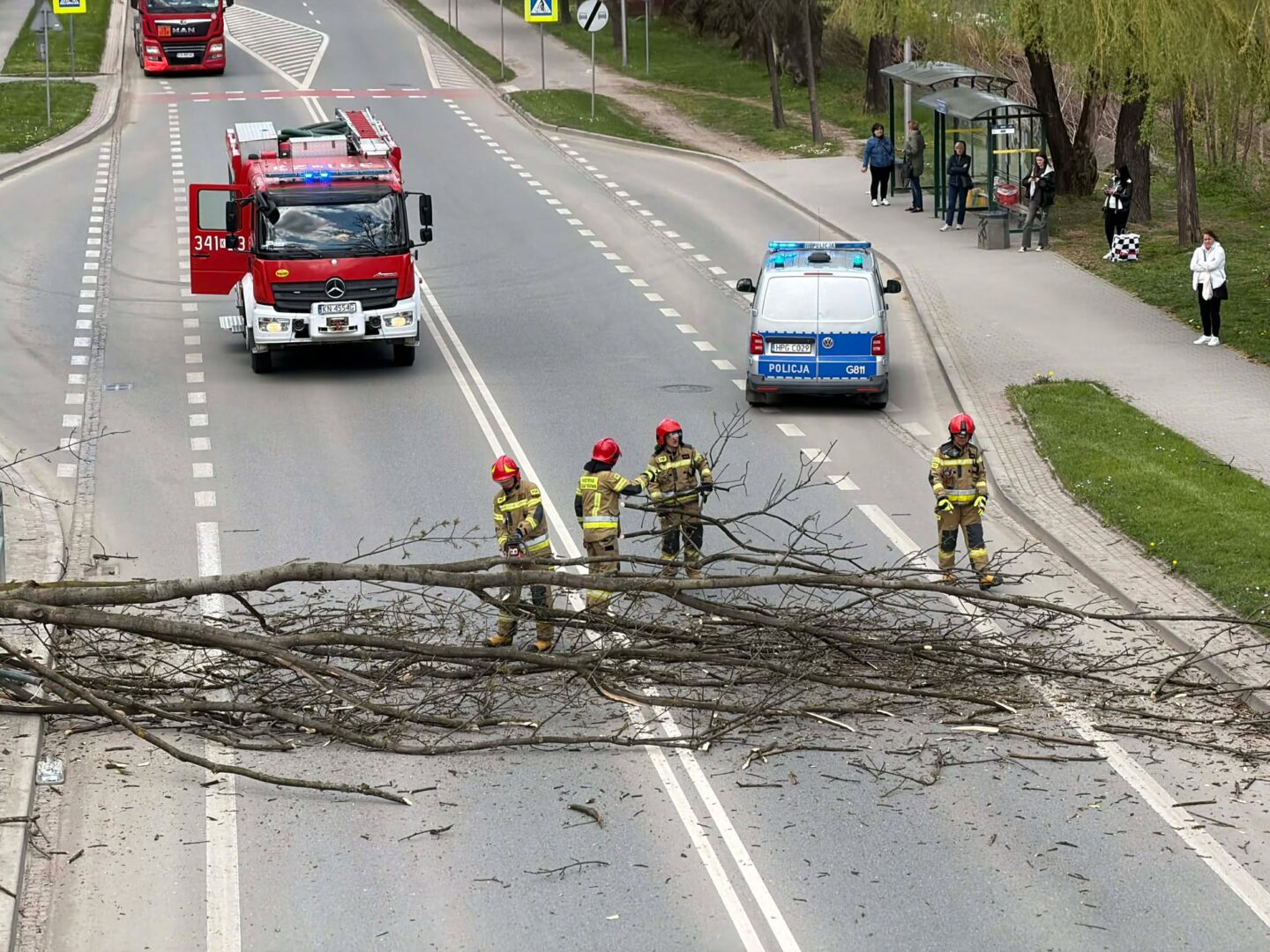 Firefighters in gear stand on a multi-lane road clearing a large fallen tree blocking the lanes; a red fire truck and a police van with flashing lights are nearby as onlookers watch from the sidewalk edge.