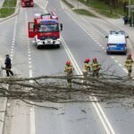 Emergency scene: firefighters and police bar a road blocked by a large fallen tree with branches spanning the street, while a red fire ladder truck and a police van wait nearby.