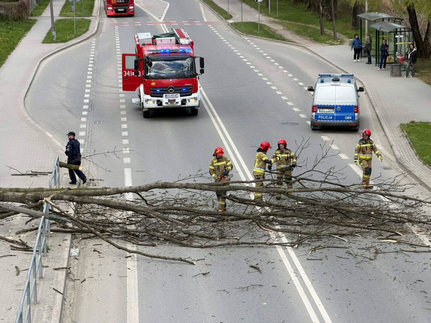 Emergency scene: firefighters and police bar a road blocked by a large fallen tree with branches spanning the street, while a red fire ladder truck and a police van wait nearby.