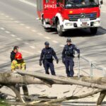 Firefighter in red helmet and two police officers assess a fallen tree blocking a sidewalk, with a red fire truck on the road behind.