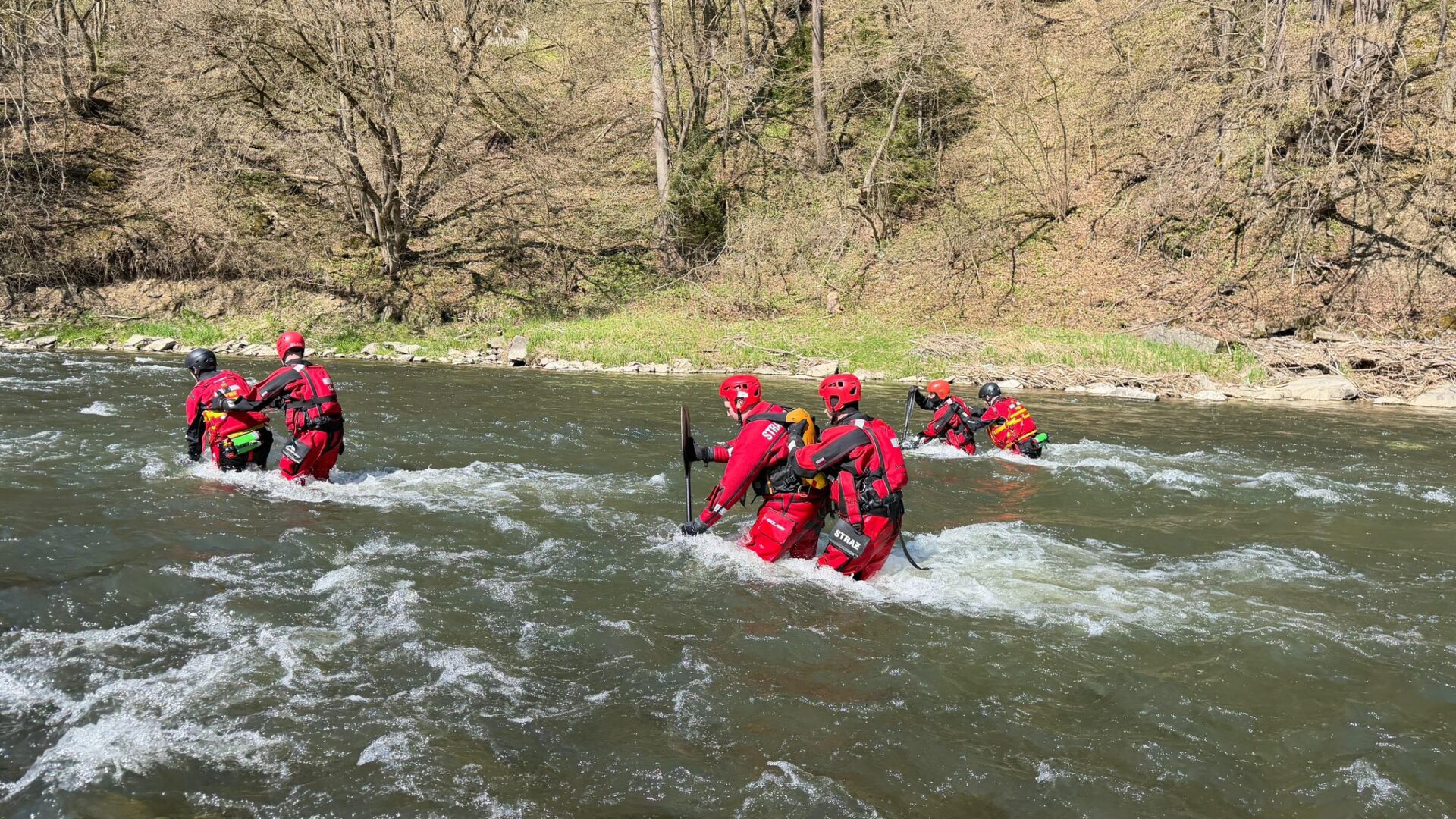 Group of rescuers in red wetsuits and helmets wading in a fast-moving river near a wooded bank, practicing a rescue drill with paddles and ropes.