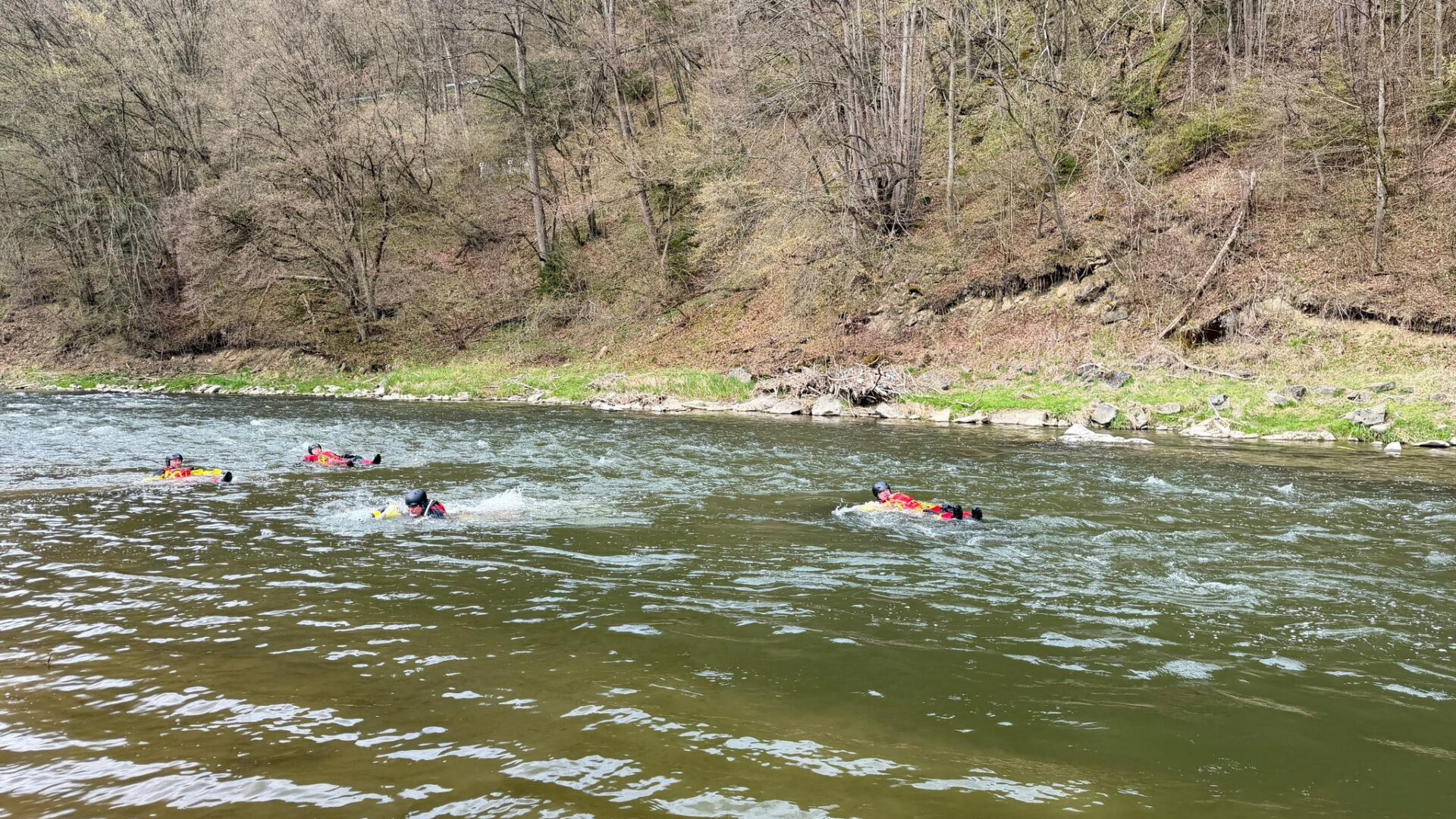 People in red life jackets swimming and floating in a river near a grassy, tree-lined bank.