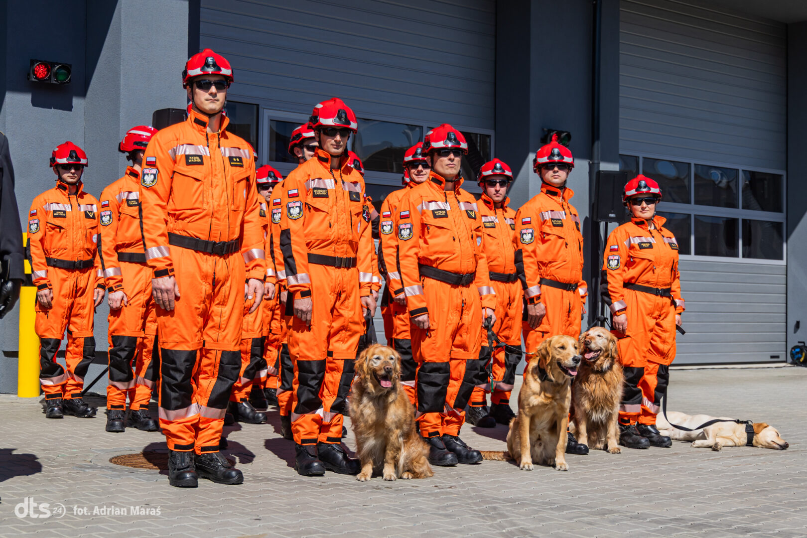 Group of firefighters in bright orange turnout gear and red helmets posing outside a fire station, with several dogs at their feet in the foreground.