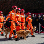 Emergency responders in bright orange uniforms march with leashed dogs during a formal ceremony, with a lined crowd in the background behind red ropes.