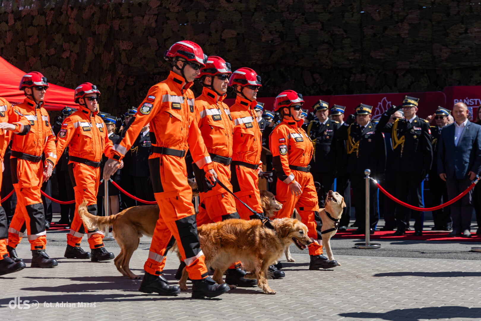 Emergency responders in bright orange uniforms march with leashed dogs during a formal ceremony, with a lined crowd in the background behind red ropes.