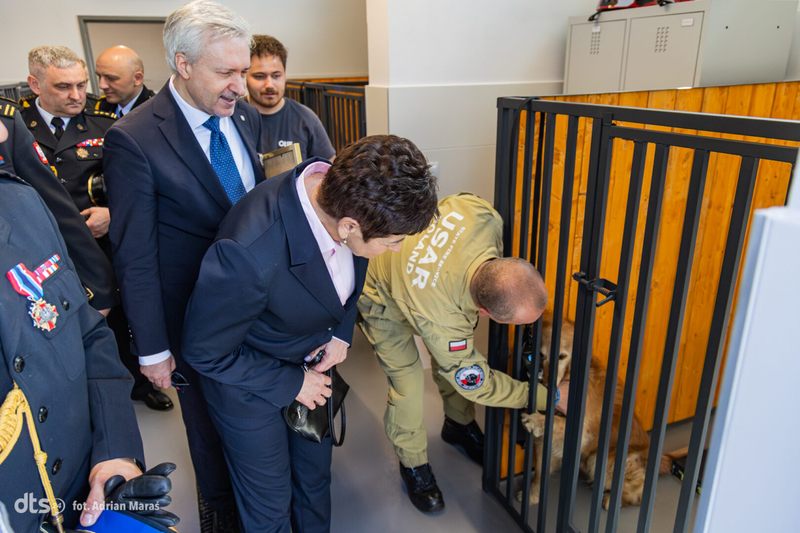 A group of officials in suits and a worker in a kennel lean over to pet a dog inside a metal enclosure at a shelter.