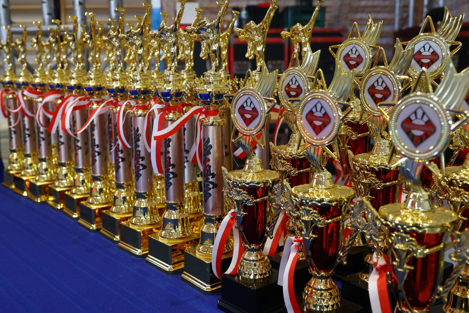 Row of gold trophies with red-and-white ribbons lined up on a blue table, ready for an awards event.