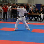 Karate competitor in a white gi and brown belt delivering a punch on blue-and-red competition mats, with judges and spectators in the background.